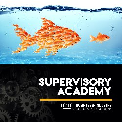 Supervisory Academy